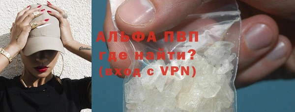 эйфоретик Гусев
